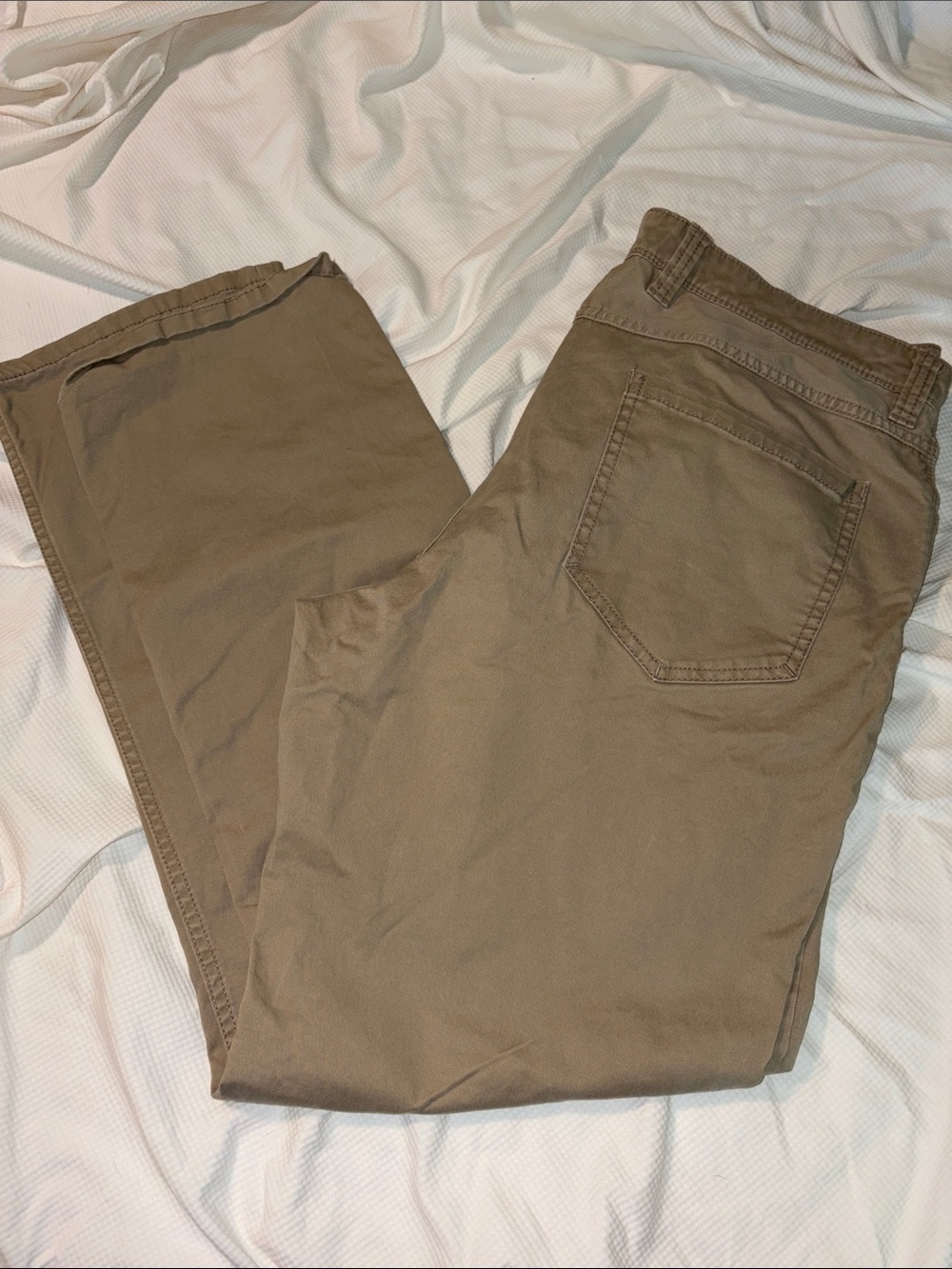 Izod Men's Chinos in Olive Brown